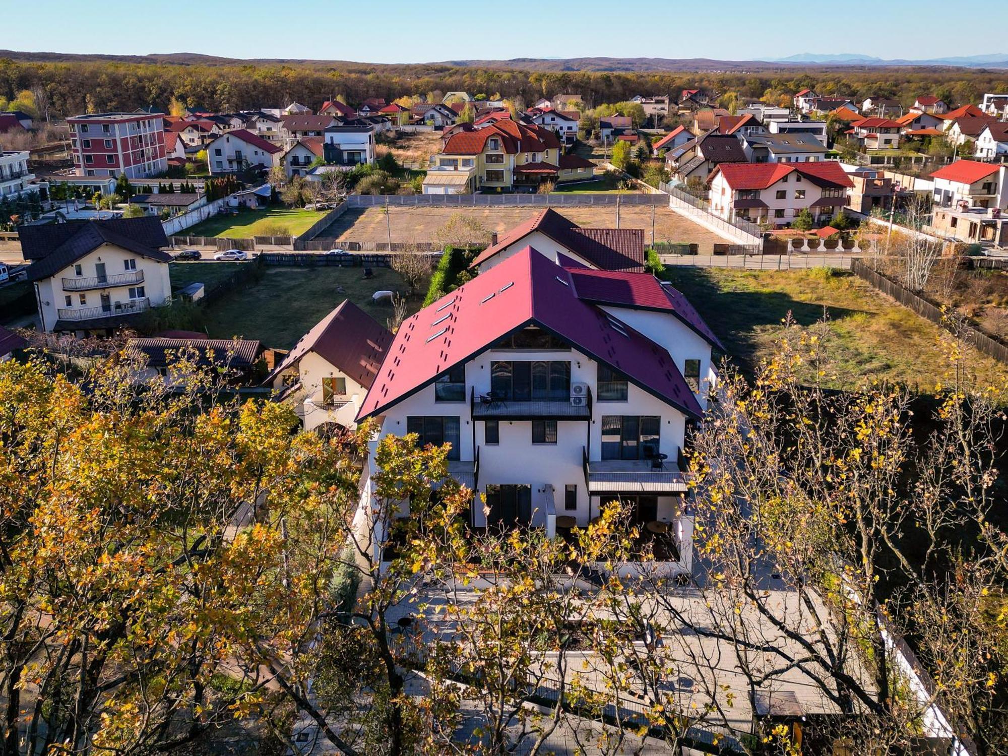 Forest Boutique Питешти Экстерьер фото